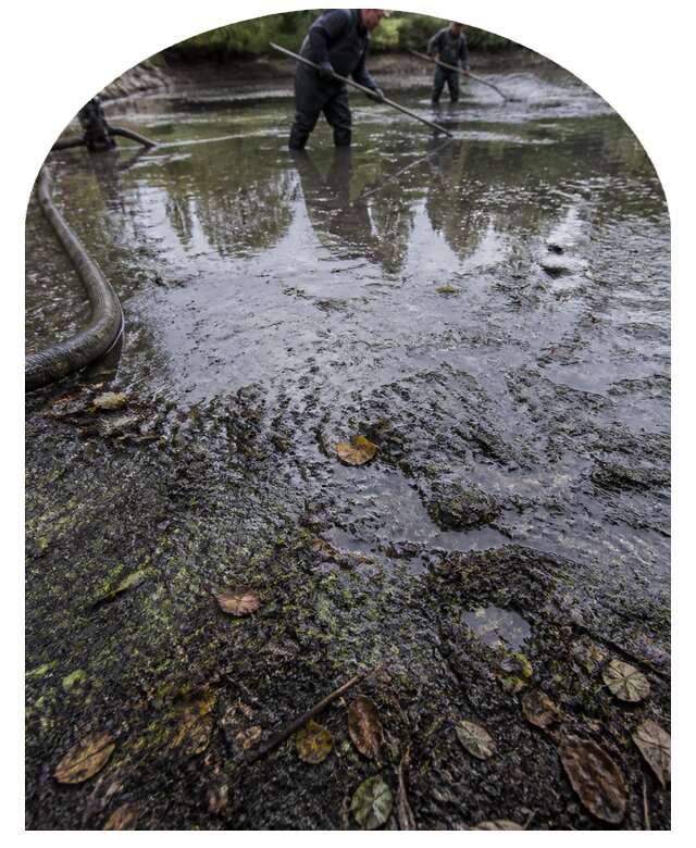 Очистка пруда в Славгороде от ила мусора и водорослей с вывозом